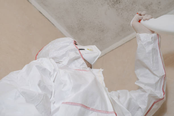 Kenbridge, VA Mold Remediation Company