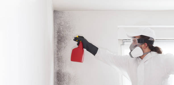 Best Crawl Space Mold Remediation in Kenbridge, VA