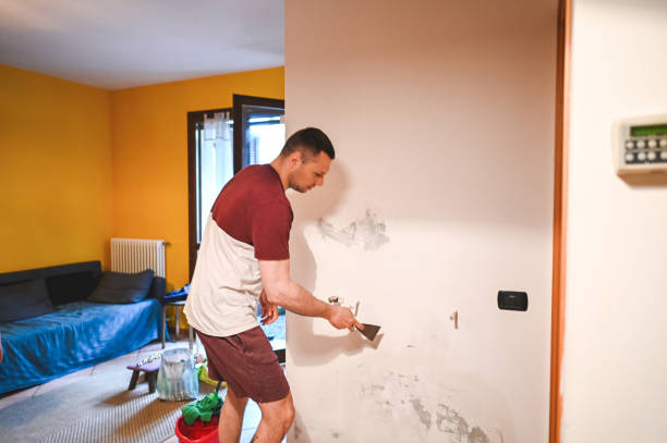 Best Health and Safety Mold Remediation in Kenbridge, VA